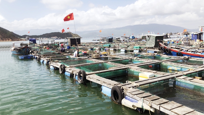 có bao nhiêu loại đất 2