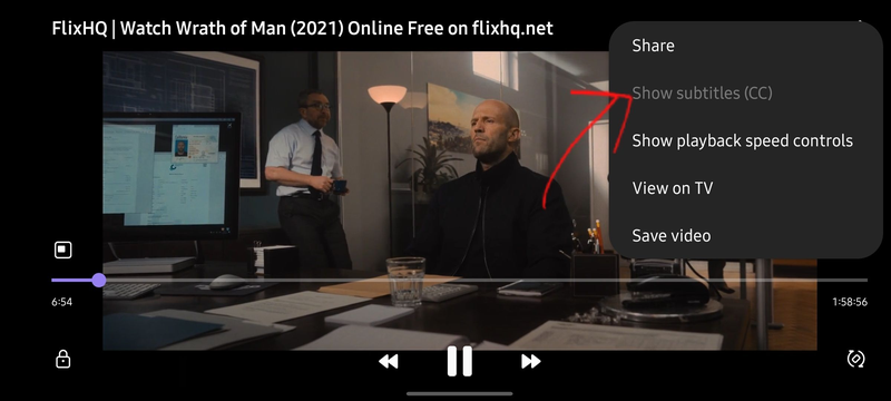 Video Assistant