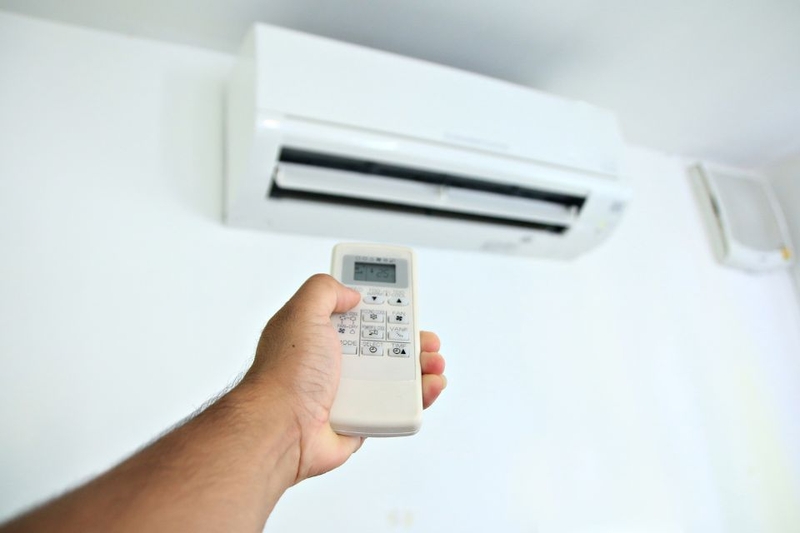 có nên cho mèo ngủ máy lạnh (ảnh 5)
