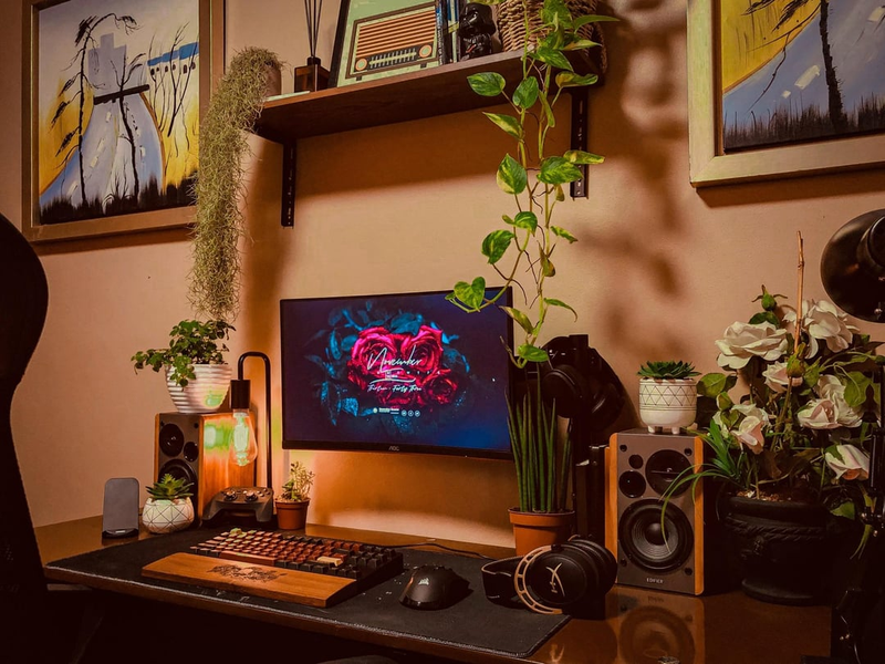 Có nên để cây xanh trong góc PC?