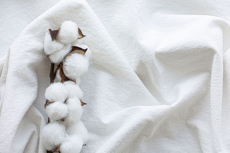 c&oacute; n&ecirc;n giặt chăn b&ocirc;ng trong m&aacute;y giặt (ảnh 2)