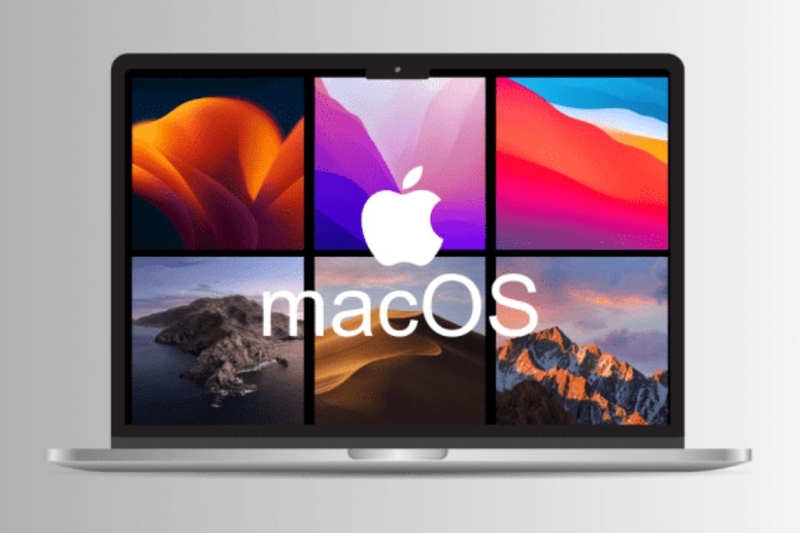 có nên mua Macbook dung lượng 256 GB (ảnh 3)