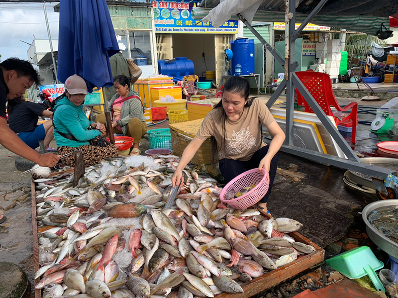 Có nên rửa thịt cá trước khi nấu 4