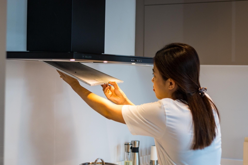 C&oacute; n&ecirc;n thay than hoạt t&iacute;nh của m&aacute;y h&uacute;t m&ugrave;i ảnh 9