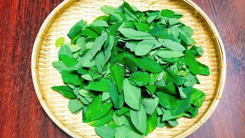có nên vò rau ngót trước khi nấu 2