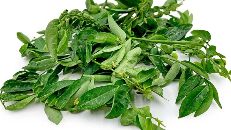 có nên vò rau ngót trước khi nấu 4