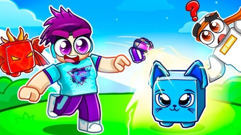 code Pet Adventures hình 8