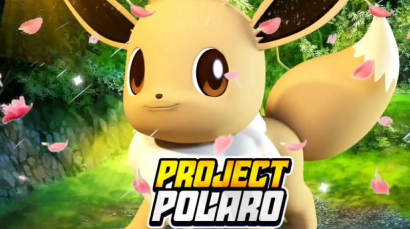 code Project Polaro hình 6