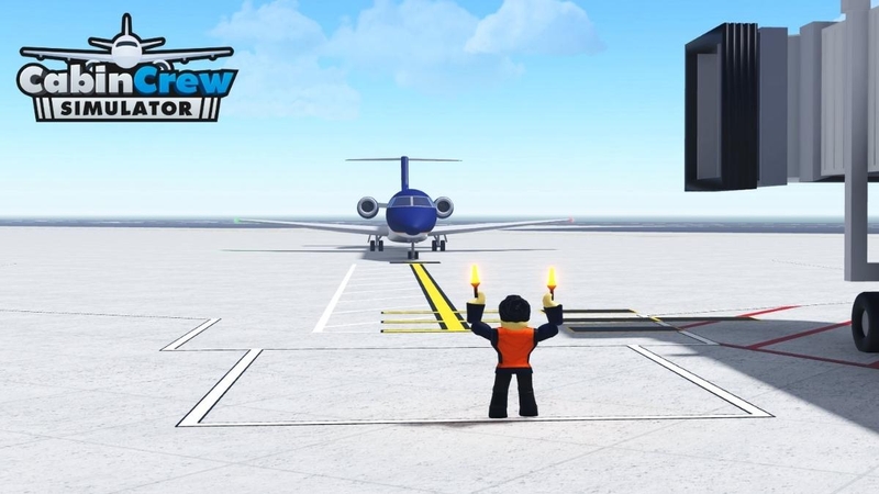 Cabin Crew Simulator code 9