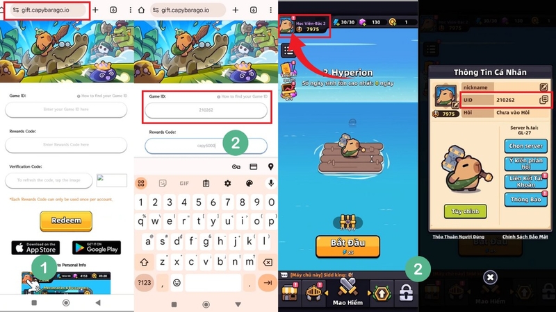 Code Capybara Go 3