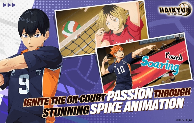 Code Haikyu Fly High hình 2