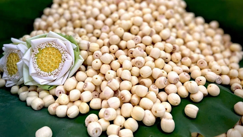 Hạt sen là nguyên liệu quan trọng của món ăn