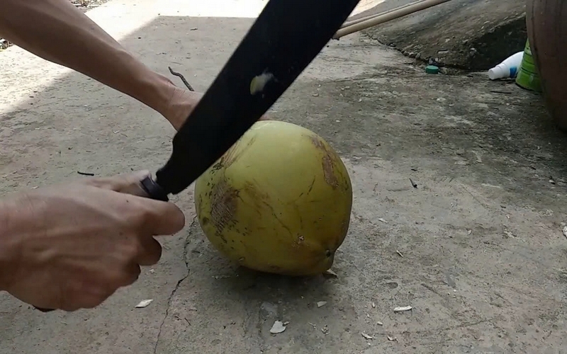 Cơm chiên trái dừa ảnh 2