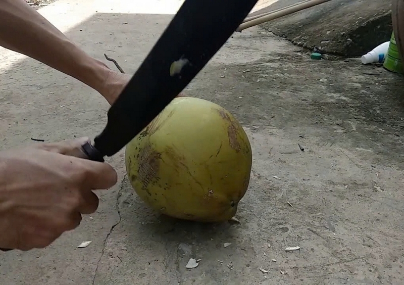 cơm dừa bến tre ảnh 3