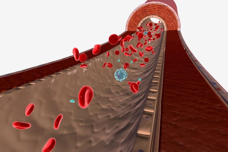 Điều hòa lượng đường trong máu