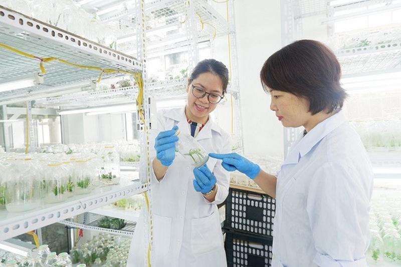 con gái có nên học công nghệ sinh học ảnh 4