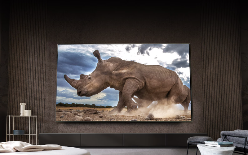 Công nghệ QNED Color Pro ảnh 11