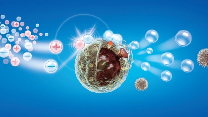 Công nghệ Plasmacluster Ion