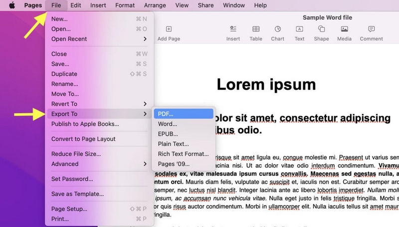 Cách chuyển file Word sang PDF trên MacBook - ảnh 3