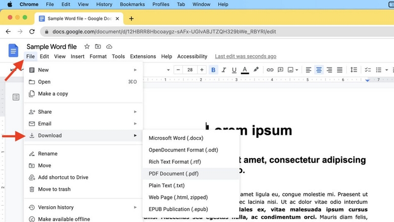 Cách chuyển file Word sang PDF trên MacBook - ảnh 4