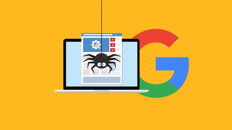 Vai trò của Crawl Web