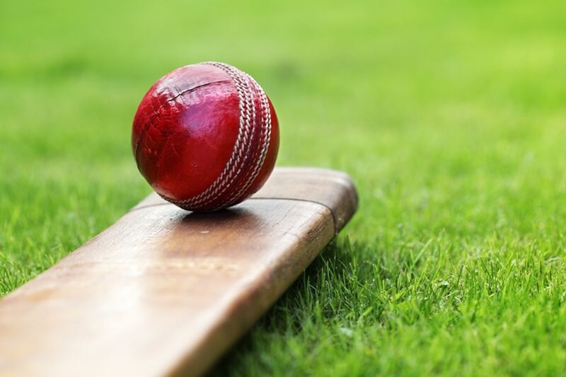 Cricket là gì 6