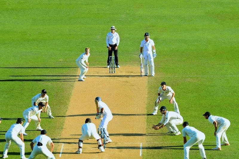 Cricket là gì 5