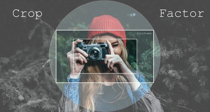 Crop Factor là gì?