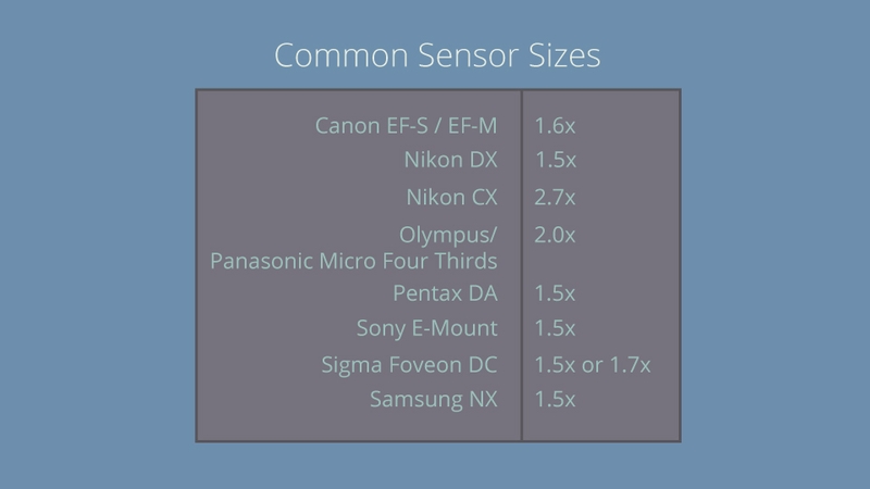 Có bao nhiêu loại hệ số Crop Factor?