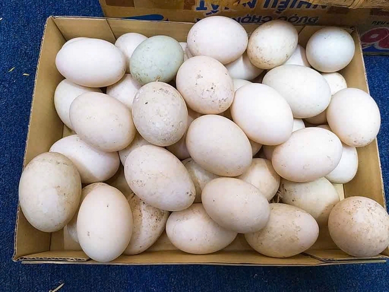 củ cải xào trứng ảnh 2