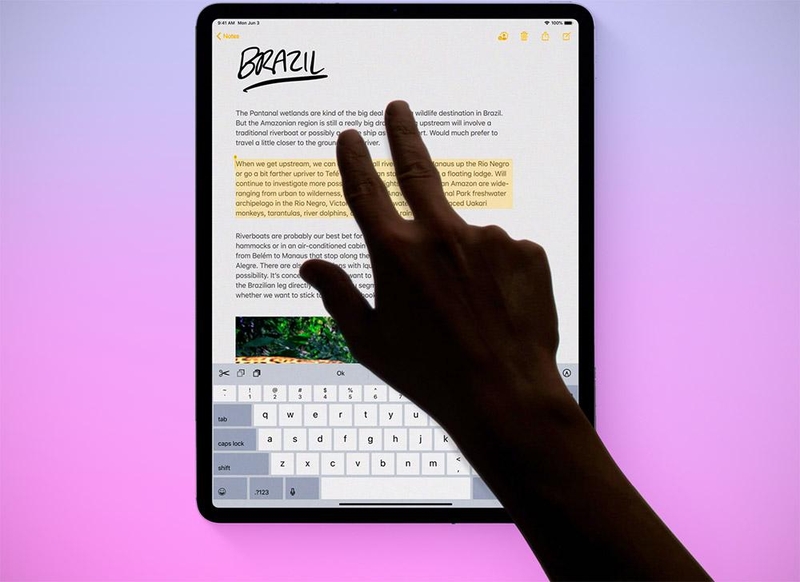 cử chỉ cho các kiểu máy iPad có Face ID - Hình 11