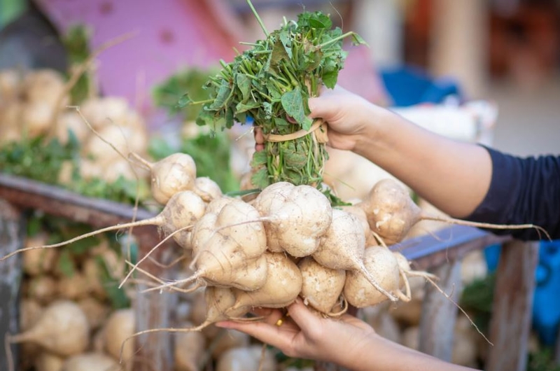 Củ đậu mọc mầm có ăn được không 2