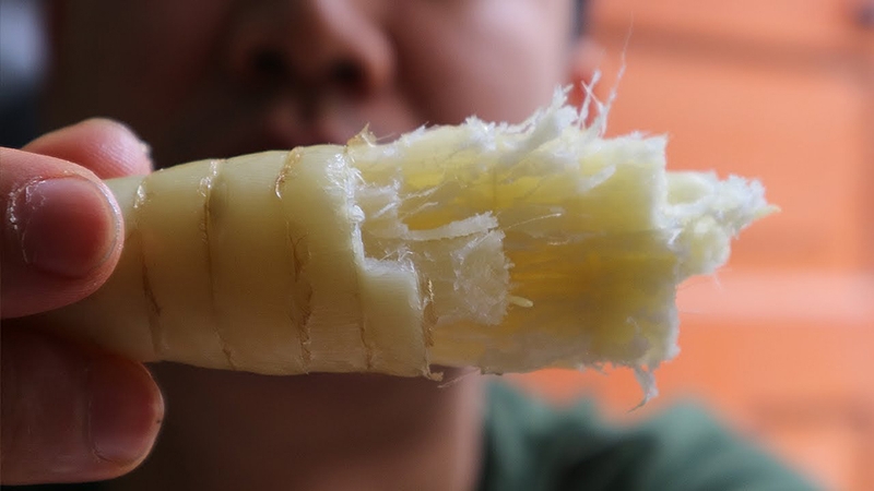 Củ dong riềng - 03