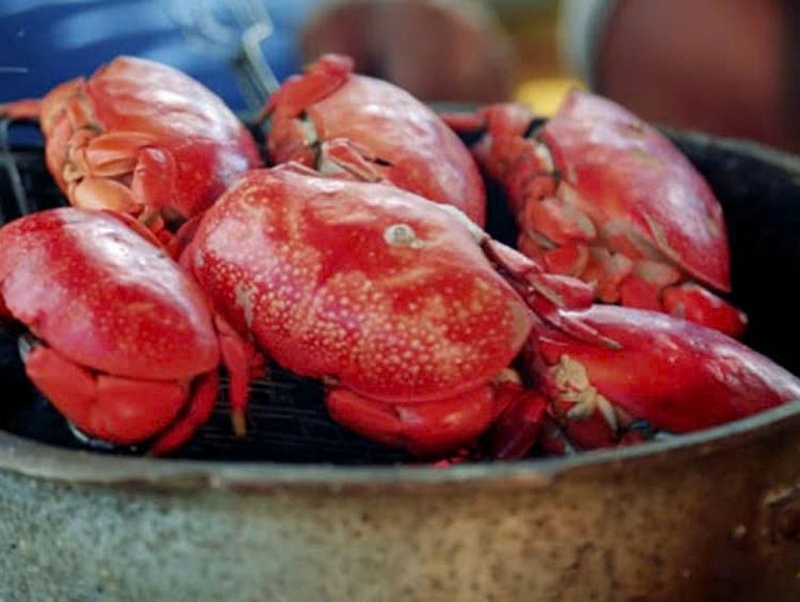 Cua cù kỳ ảnh 3