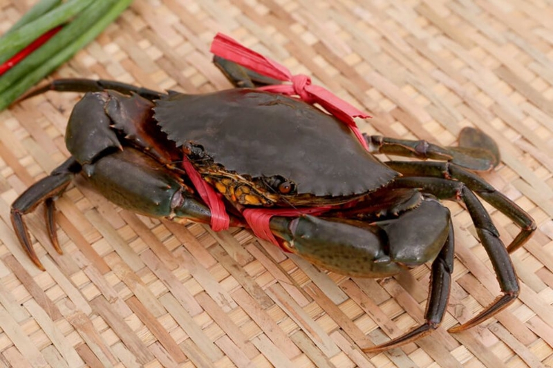 cua ngâm tương (ảnh 1)