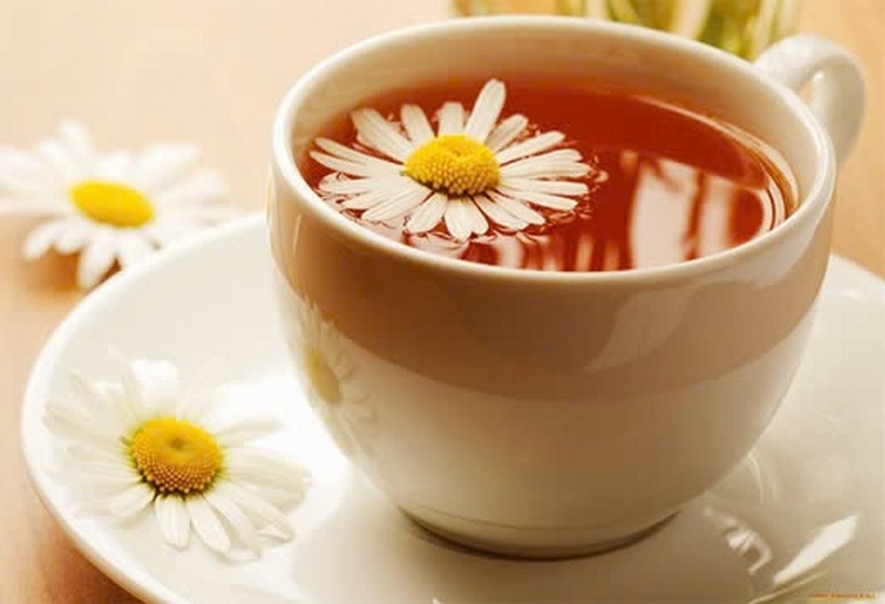 Cúc họa mi ảnh 6