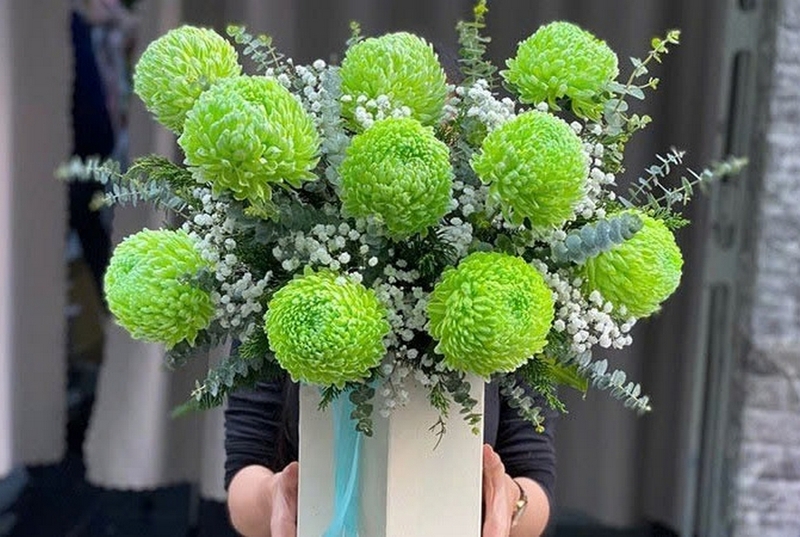cúc mẫu đơn ảnh 2