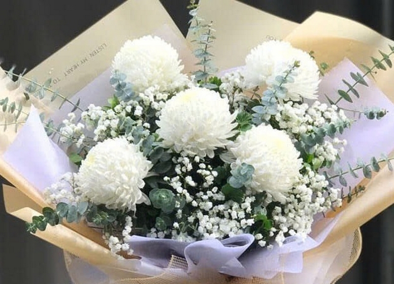 cúc mẫu đơn ảnh 3