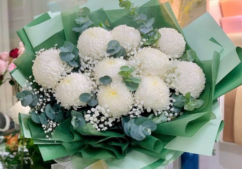 cúc mẫu đơn ảnh 4