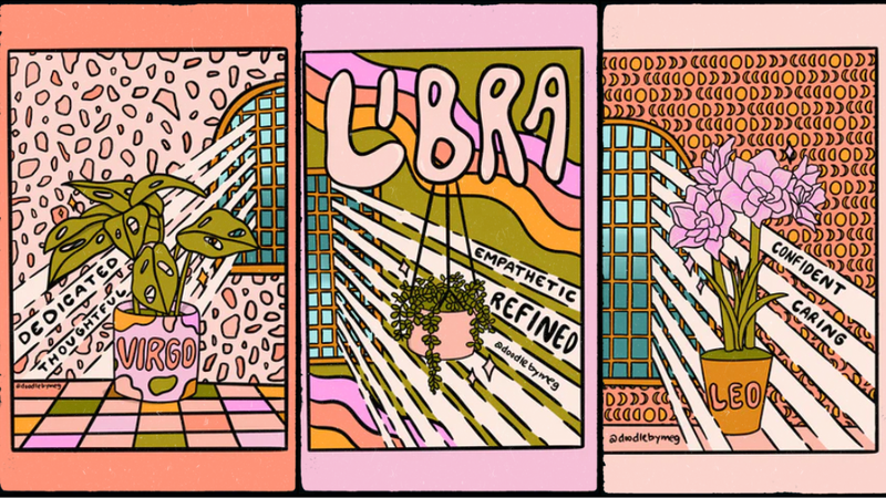 Ảnh sưu tập cung hoàng đạo 18