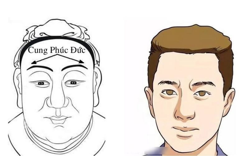 cung phúc đức là gì ảnh 2