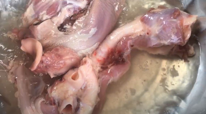 so che cuong hong heo