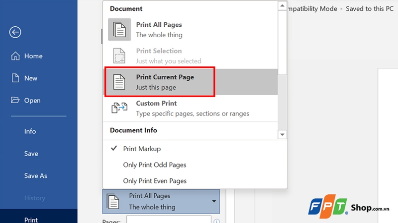 Nhấn tùy chọn Print Current Page