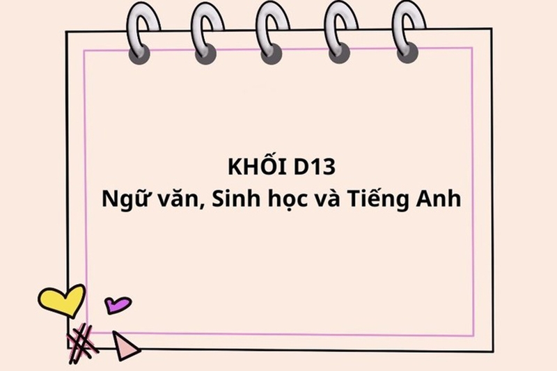 D13 là khối gì 8