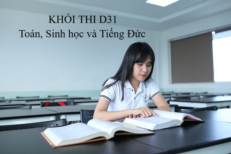 D31 gồm những môn nào? Ngành nào 1