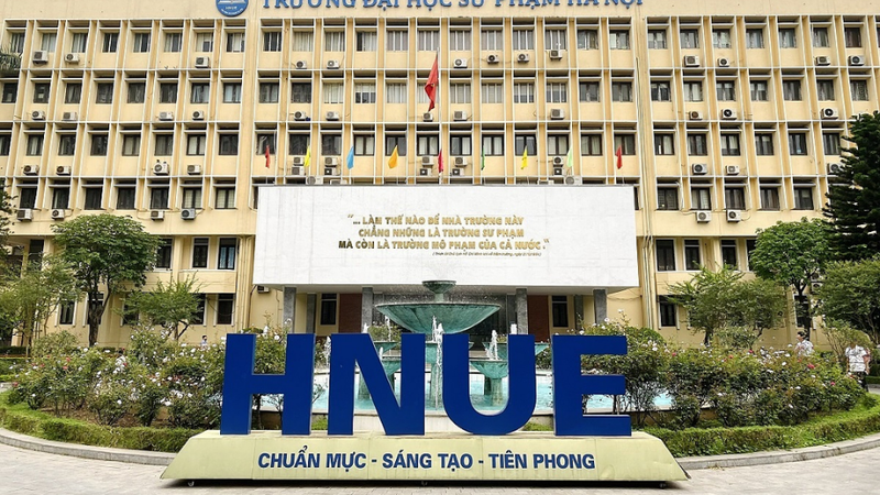 D44 gồm những môn nào? Ngành nào 2