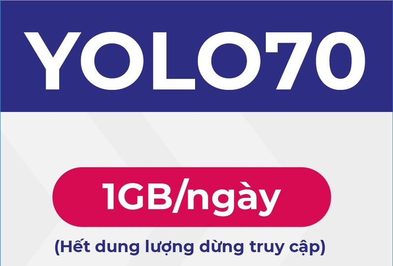 d50y 7