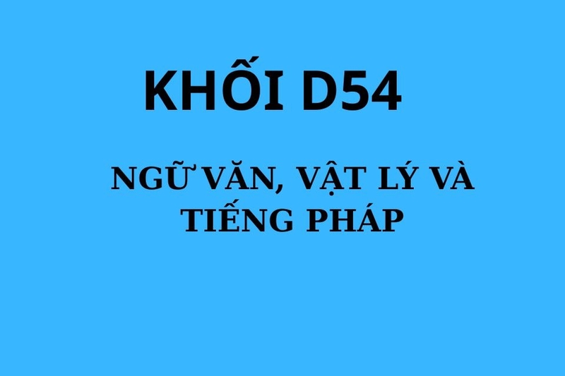 Các môn học thuộc khối D54
