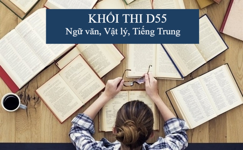 D55 gồm những môn nào? Ngành nào 1