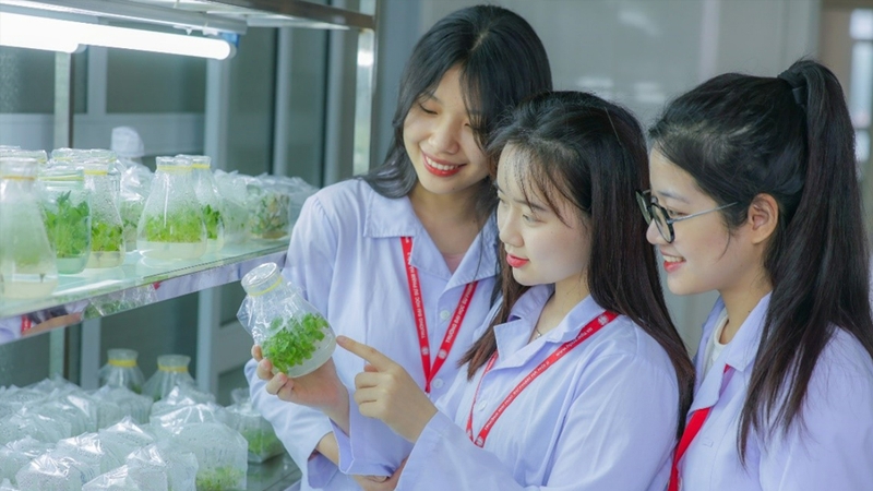 Học sinh khối D92 có thể xét tuyển ngành Khoa học tự nhiên